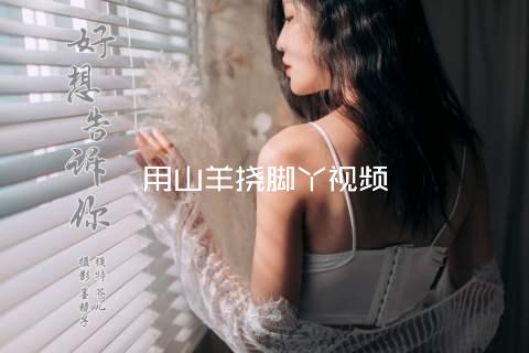 用山羊挠脚丫视频